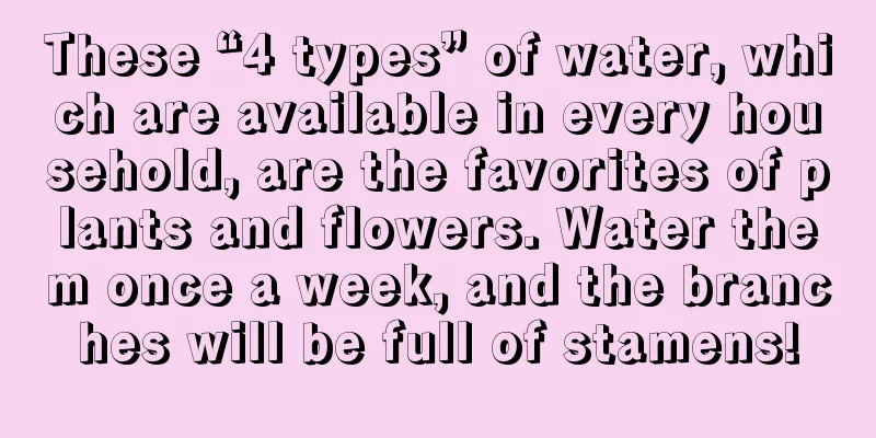 These “4 types” of water, which are available in every household, are the favorites of plants and flowers. Water them once a week, and the branches will be full of stamens!