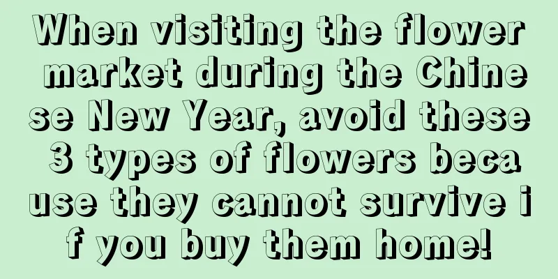 When visiting the flower market during the Chinese New Year, avoid these 3 types of flowers because they cannot survive if you buy them home!