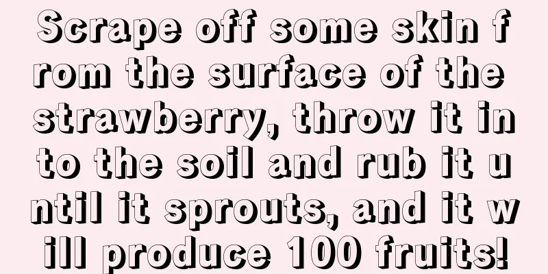 Scrape off some skin from the surface of the strawberry, throw it into the soil and rub it until it sprouts, and it will produce 100 fruits!