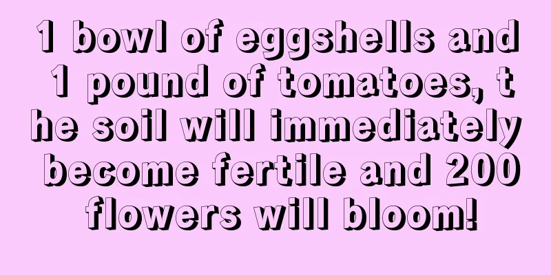 1 bowl of eggshells and 1 pound of tomatoes, the soil will immediately become fertile and 200 flowers will bloom!