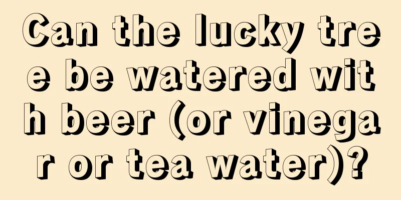 Can the lucky tree be watered with beer (or vinegar or tea water)?