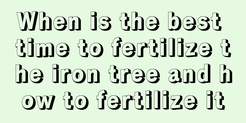 When is the best time to fertilize the iron tree and how to fertilize it