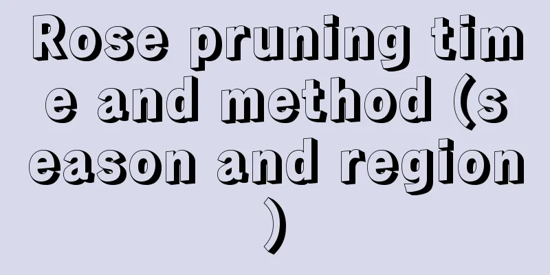 Rose pruning time and method (season and region)