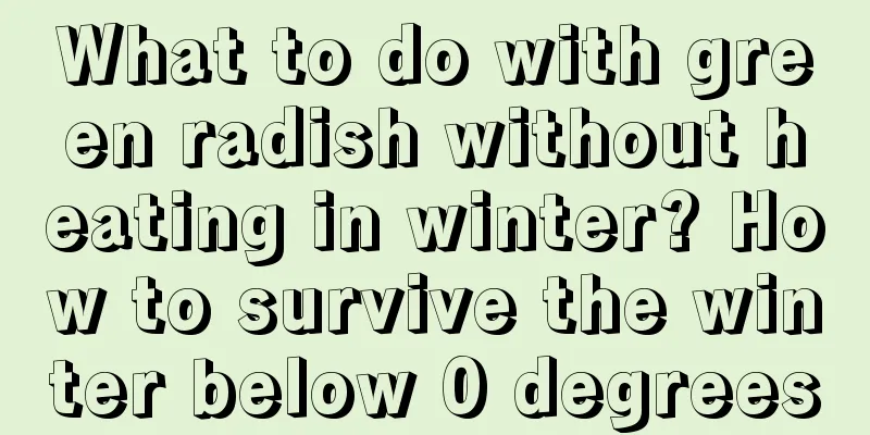 What to do with green radish without heating in winter? How to survive the winter below 0 degrees