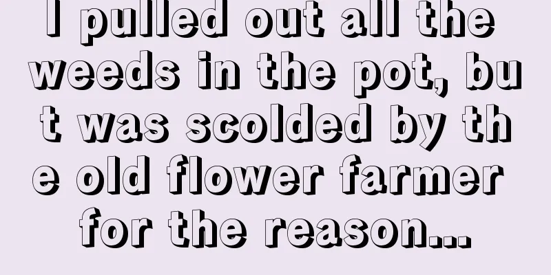 I pulled out all the weeds in the pot, but was scolded by the old flower farmer for the reason...