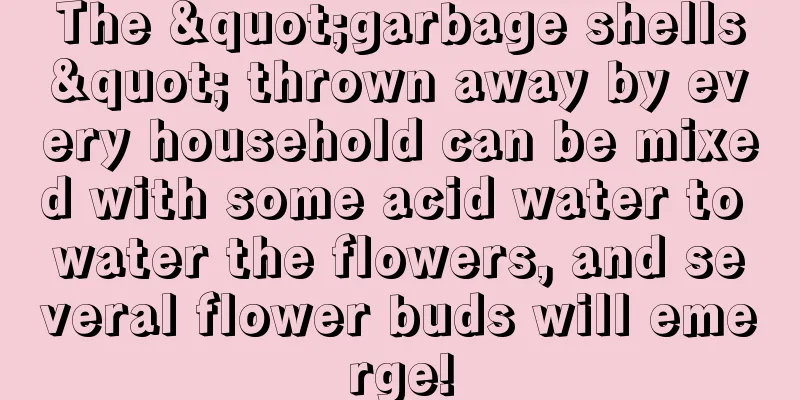 The "garbage shells" thrown away by every household can be mixed with some acid water to water the flowers, and several flower buds will emerge!