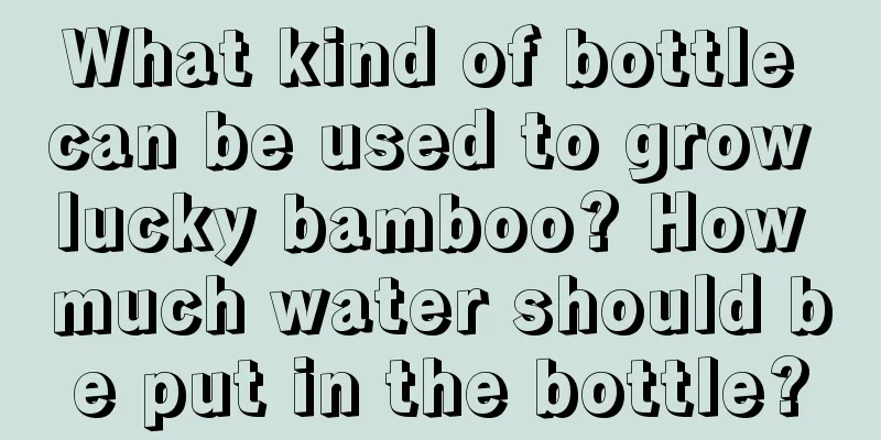 What kind of bottle can be used to grow lucky bamboo? How much water should be put in the bottle?