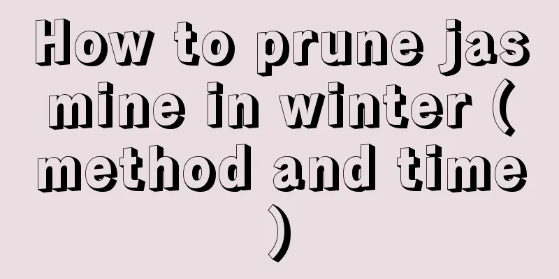 How to prune jasmine in winter (method and time)