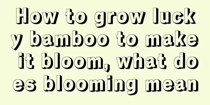 How to grow lucky bamboo to make it bloom, what does blooming mean