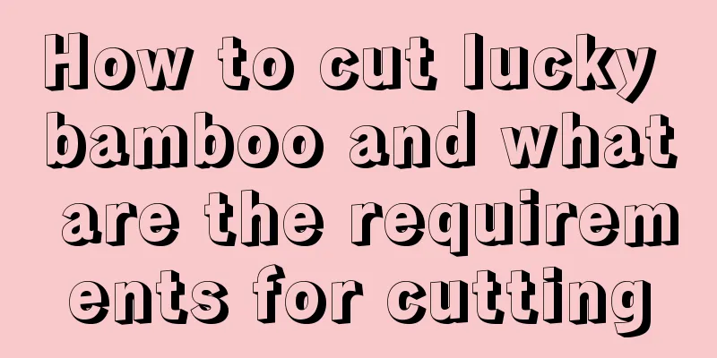 How to cut lucky bamboo and what are the requirements for cutting