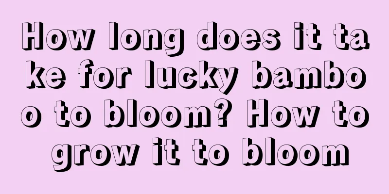 How long does it take for lucky bamboo to bloom? How to grow it to bloom