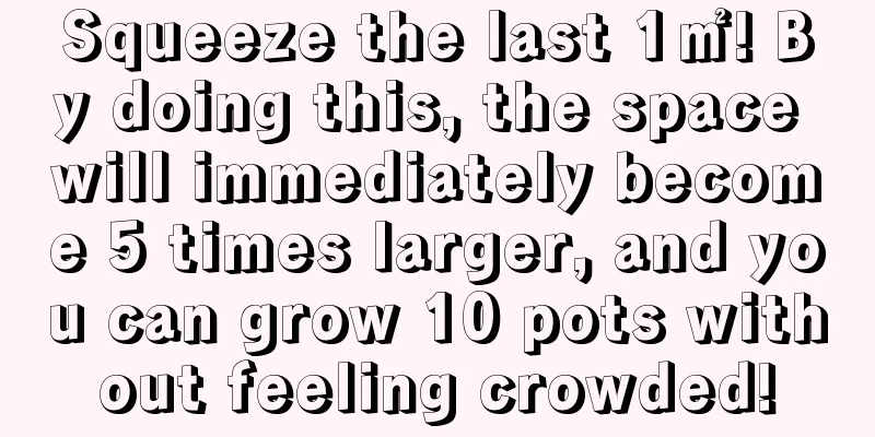 Squeeze the last 1㎡! By doing this, the space will immediately become 5 times larger, and you can grow 10 pots without feeling crowded!