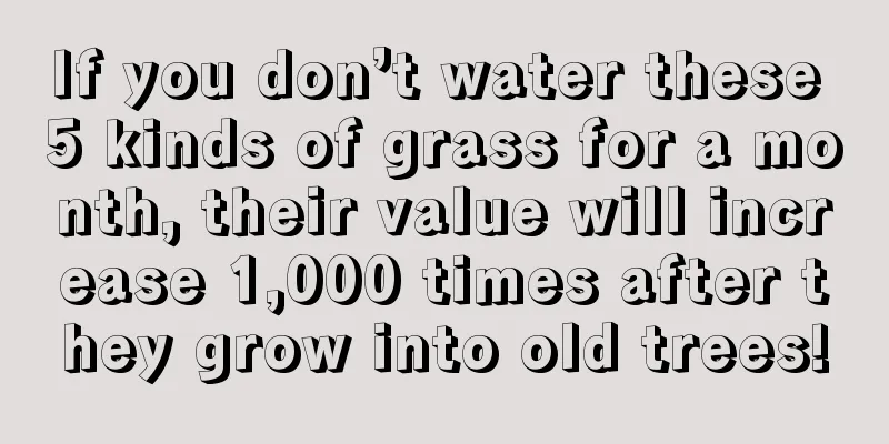 If you don’t water these 5 kinds of grass for a month, their value will increase 1,000 times after they grow into old trees!