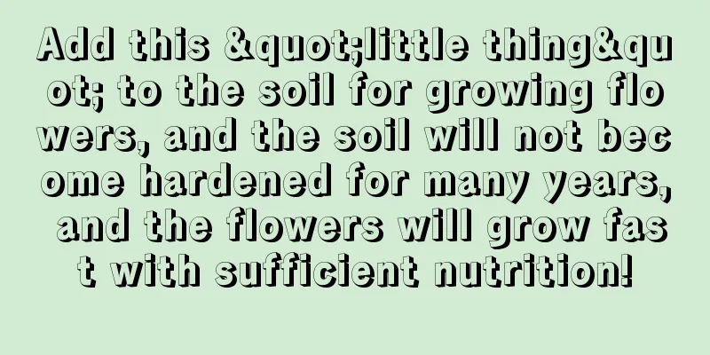 Add this "little thing" to the soil for growing flowers, and the soil will not become hardened for many years, and the flowers will grow fast with sufficient nutrition!