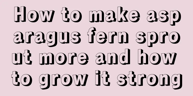 How to make asparagus fern sprout more and how to grow it strong