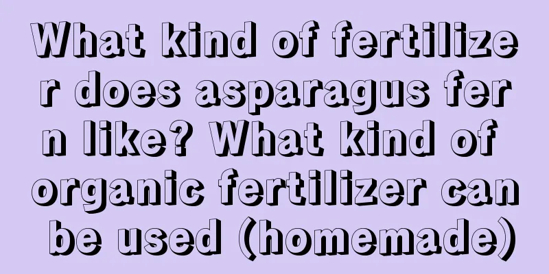 What kind of fertilizer does asparagus fern like? What kind of organic fertilizer can be used (homemade)