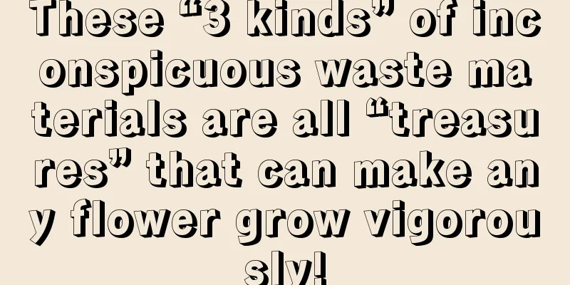 These “3 kinds” of inconspicuous waste materials are all “treasures” that can make any flower grow vigorously!