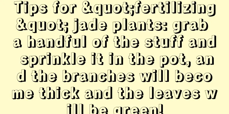 Tips for "fertilizing" jade plants: grab a handful of the stuff and sprinkle it in the pot, and the branches will become thick and the leaves will be green!