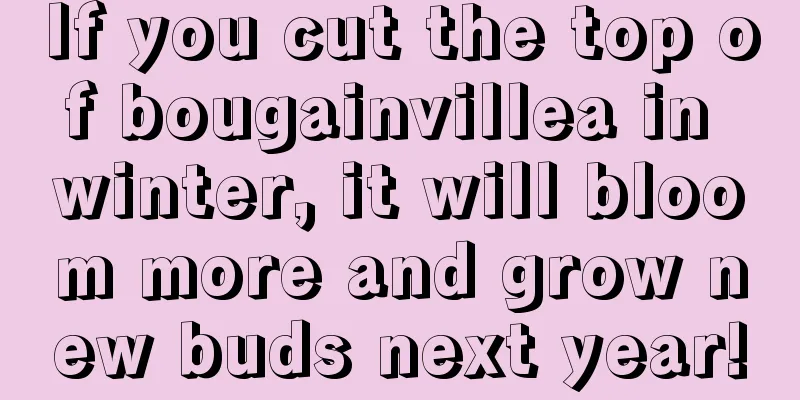 If you cut the top of bougainvillea in winter, it will bloom more and grow new buds next year!