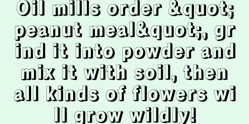 Oil mills order "peanut meal", grind it into powder and mix it with soil, then all kinds of flowers will grow wildly!