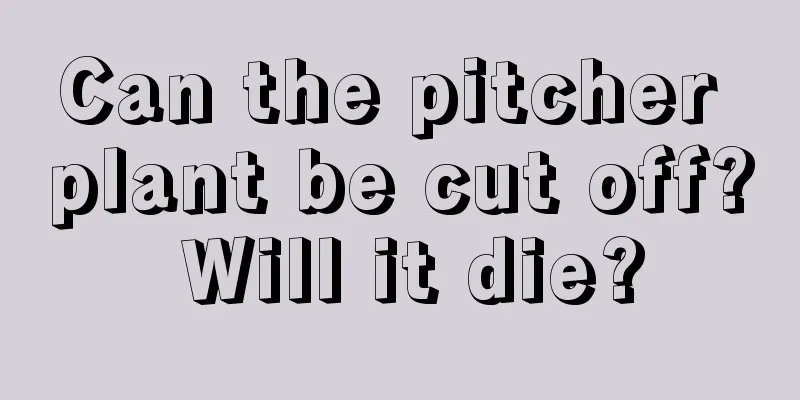 Can the pitcher plant be cut off? Will it die?