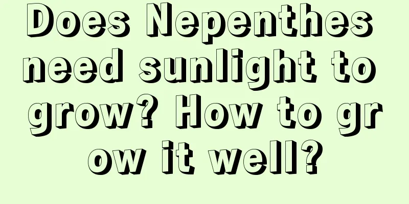 Does Nepenthes need sunlight to grow? How to grow it well?