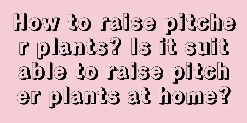 How to raise pitcher plants? Is it suitable to raise pitcher plants at home?