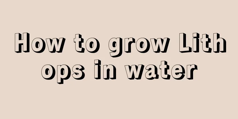 How to grow Lithops in water