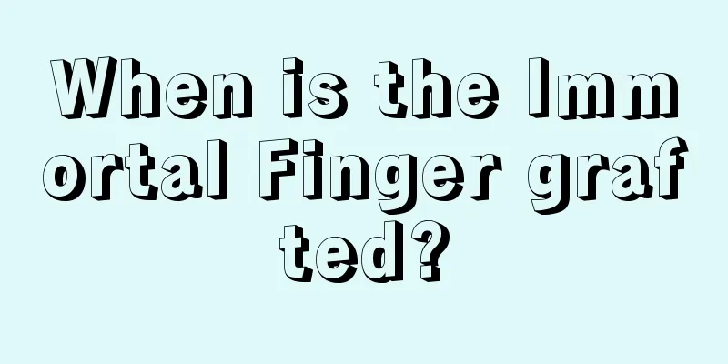 When is the Immortal Finger grafted?