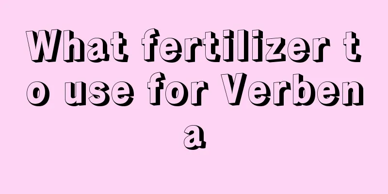 What fertilizer to use for Verbena