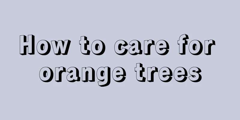 How to care for orange trees