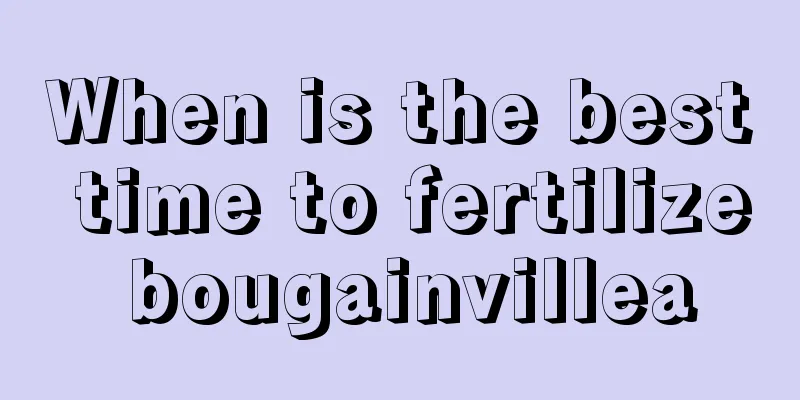 When is the best time to fertilize bougainvillea