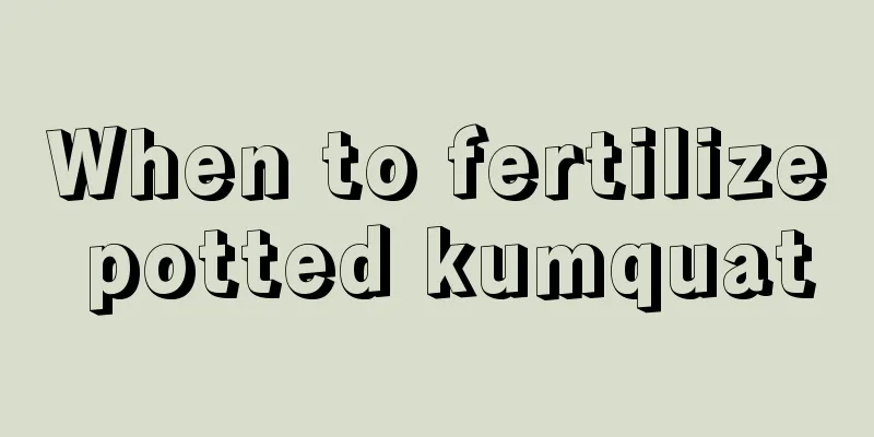 When to fertilize potted kumquat