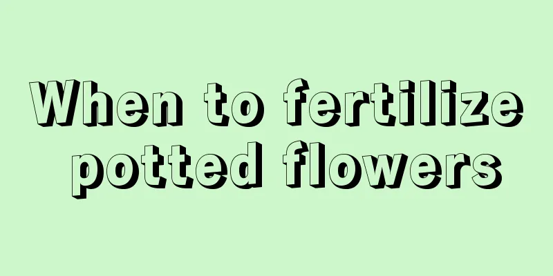 When to fertilize potted flowers