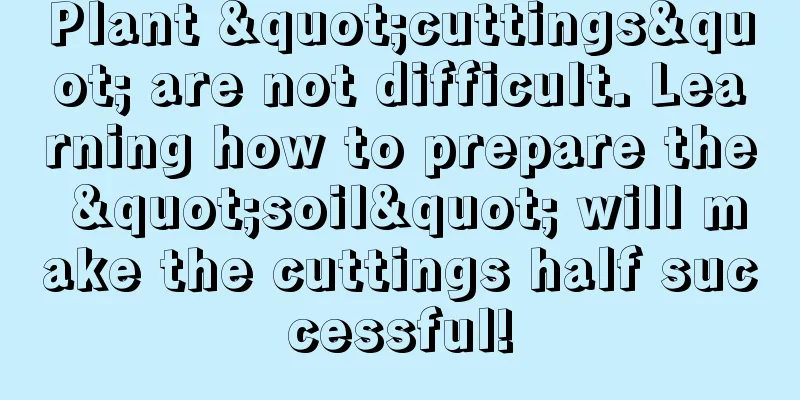 Plant "cuttings" are not difficult. Learning how to prepare the "soil" will make the cuttings half successful!