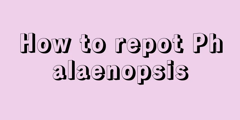 How to repot Phalaenopsis