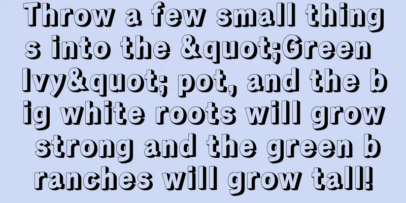 Throw a few small things into the "Green Ivy" pot, and the big white roots will grow strong and the green branches will grow tall!