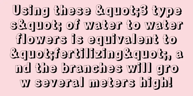 Using these "3 types" of water to water flowers is equivalent to "fertilizing", and the branches will grow several meters high!