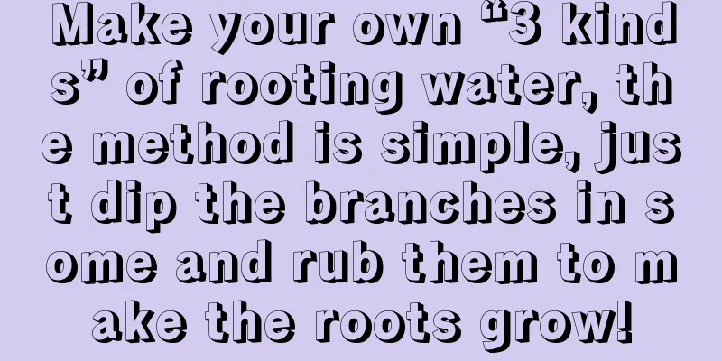 Make your own “3 kinds” of rooting water, the method is simple, just dip the branches in some and rub them to make the roots grow!