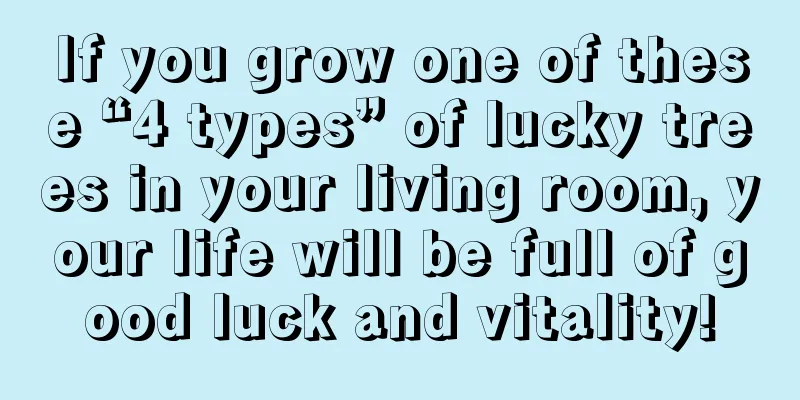 If you grow one of these “4 types” of lucky trees in your living room, your life will be full of good luck and vitality!