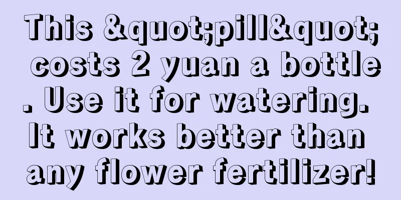 This "pill" costs 2 yuan a bottle. Use it for watering. It works better than any flower fertilizer!