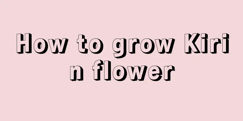 How to grow Kirin flower