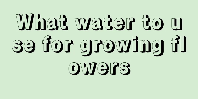 What water to use for growing flowers