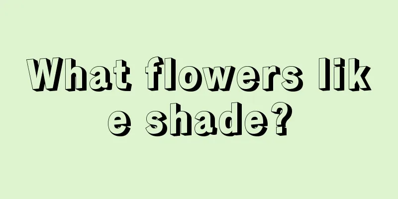 What flowers like shade?