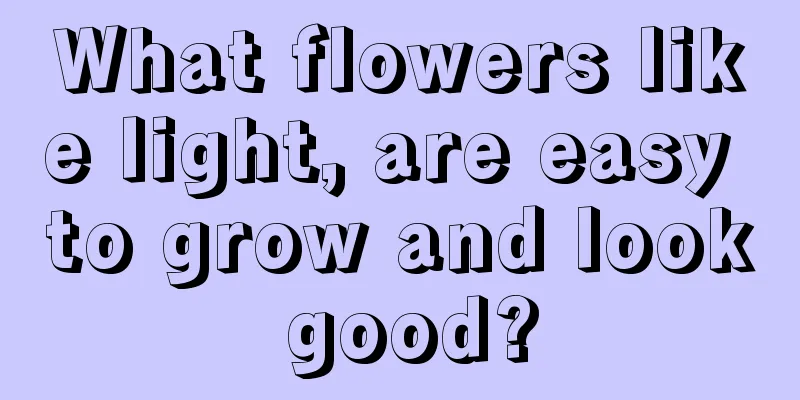 What flowers like light, are easy to grow and look good?