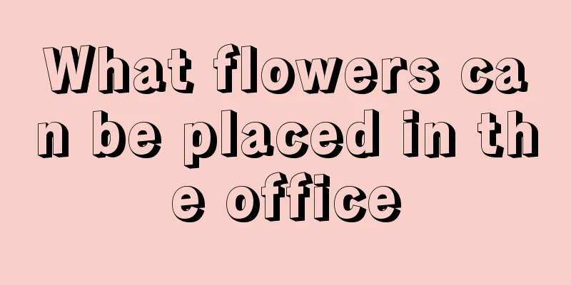 What flowers can be placed in the office