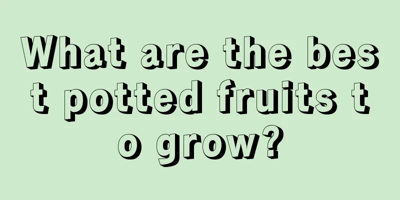 What are the best potted fruits to grow?