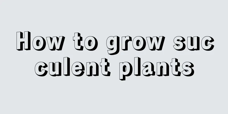 How to grow succulent plants