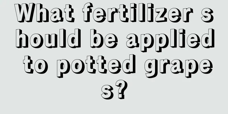 What fertilizer should be applied to potted grapes?