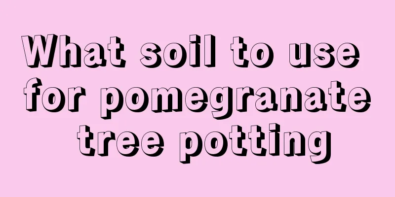 What soil to use for pomegranate tree potting